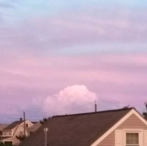 Meet your Posher, Paige